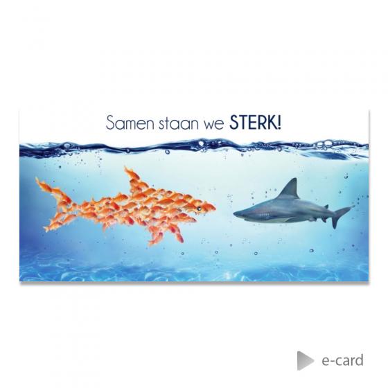 E-card monde marin