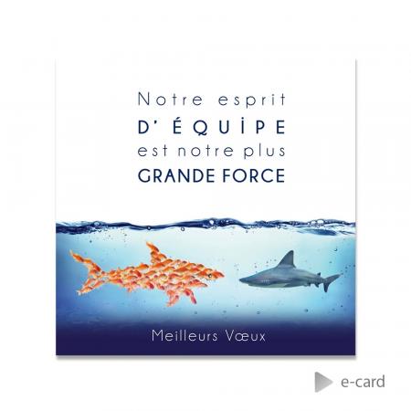 E-card 2023 monde marin