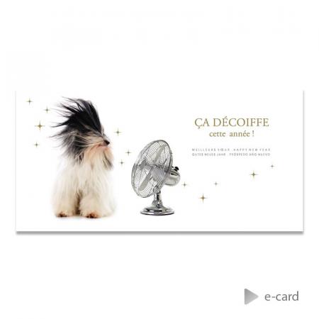E-card avec chien au vent !