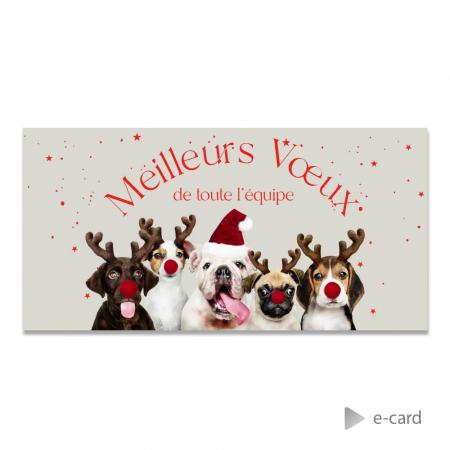 E-card joyeux noël chiens clowns Francophone